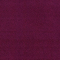 Berinjela (185)